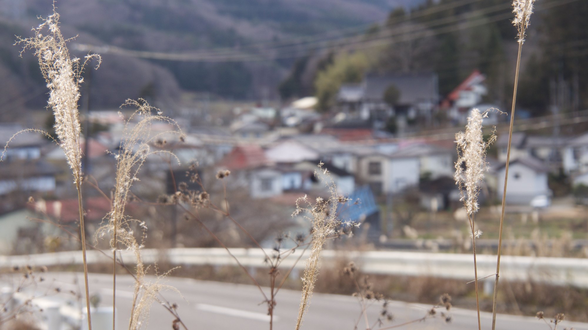 葛尾村の景色